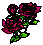 Rose Button